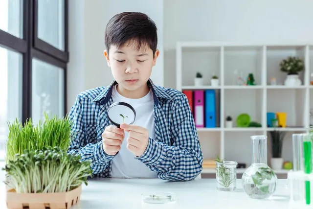 中学受験理科の基礎固め！家庭で現象を深く理解する代表的な実験学習