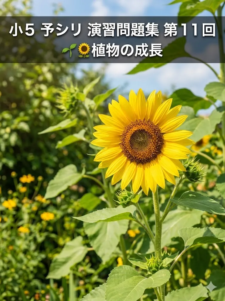 小５　予シリ演習問題集第１１回　植物の成長　学習のポイント
