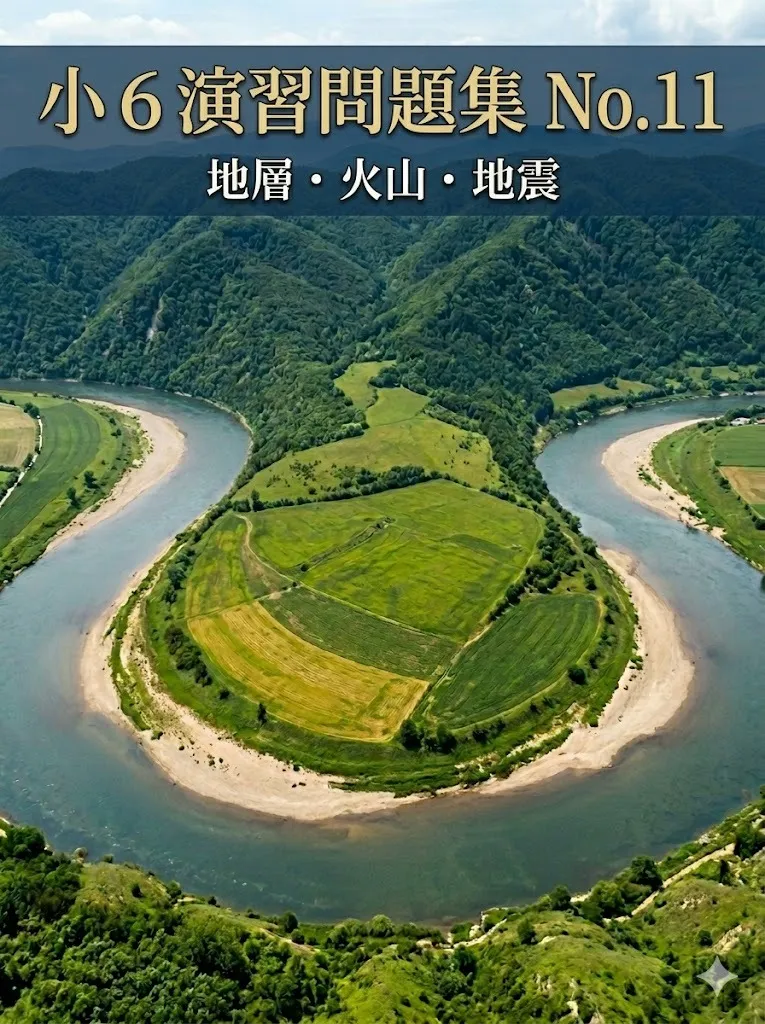 小6　予シリ演習問題集第１１回　植物の成長